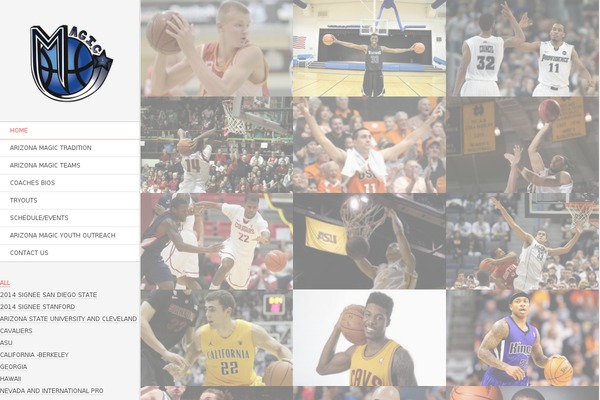 Other theme site design template sample