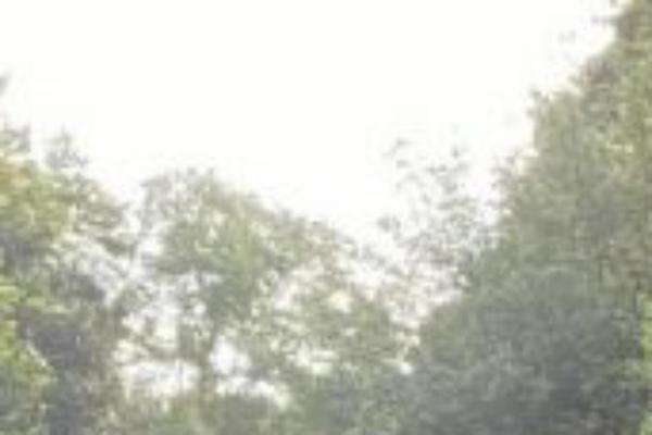 Casper theme site design template sample