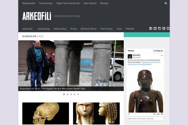 Hot Topix theme site design template sample