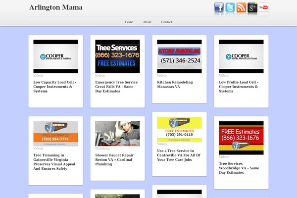 arlingtonmama.com site used Wp-videosense-pro