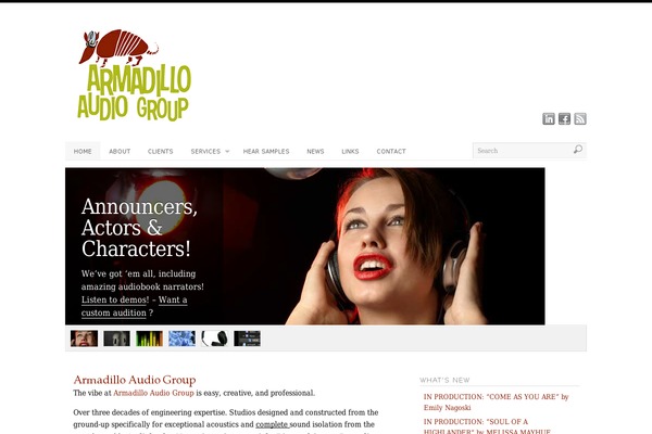 armadilloaudiogroup.com site used Platformbase