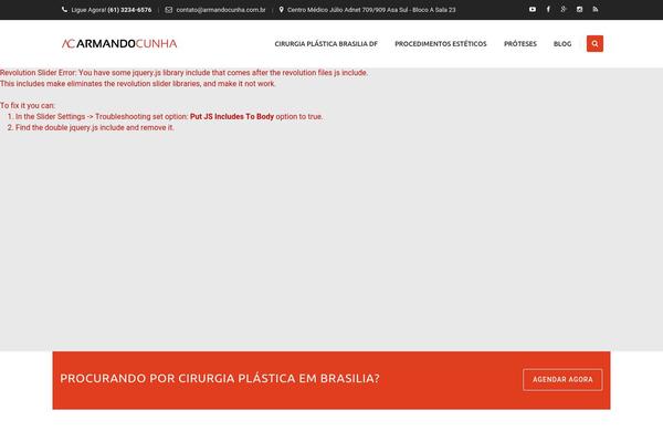 Apicona theme site design template sample