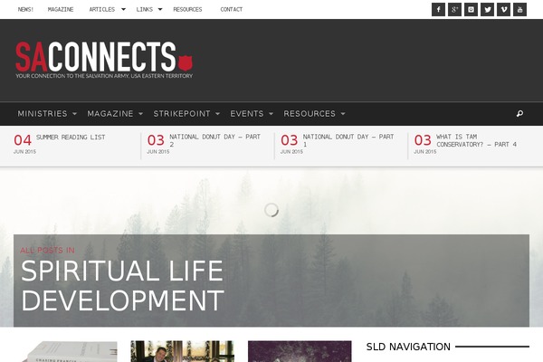 NonProfit theme site design template sample