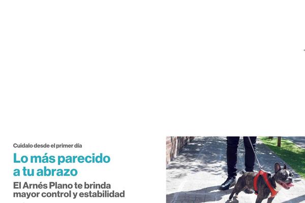 Site using Woocommerce-google-adwords-conversion-tracking-tag plugin