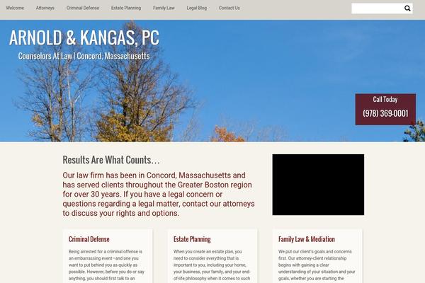 vasson theme websites examples