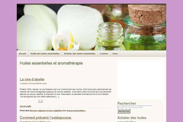 Seomag theme site design template sample