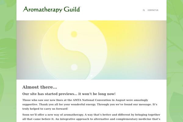 Flatsome Child Theme theme site design template sample