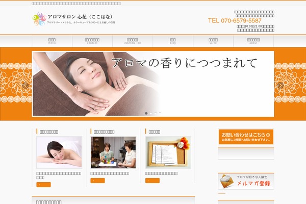 Lotus_tcd039 theme site design template sample