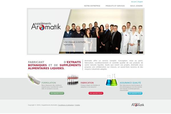 Wpactivis theme site design template sample