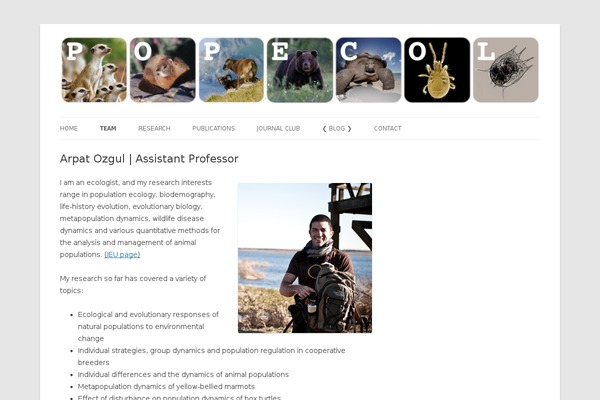 Site using Latest Custom Post Type Updates plugin