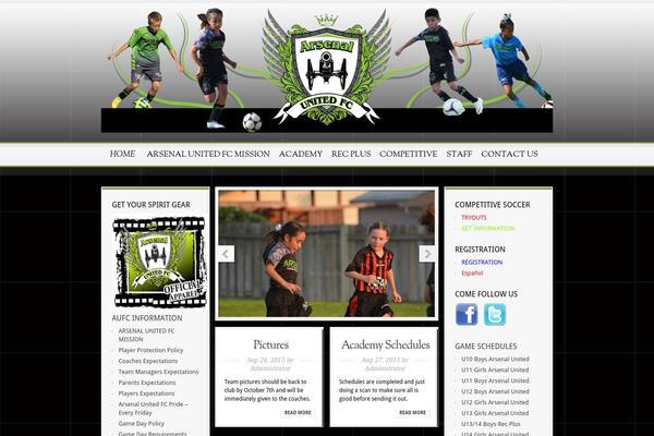 Magnificent theme site design template sample