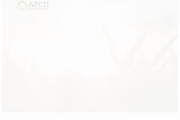 Skyline theme site design template sample