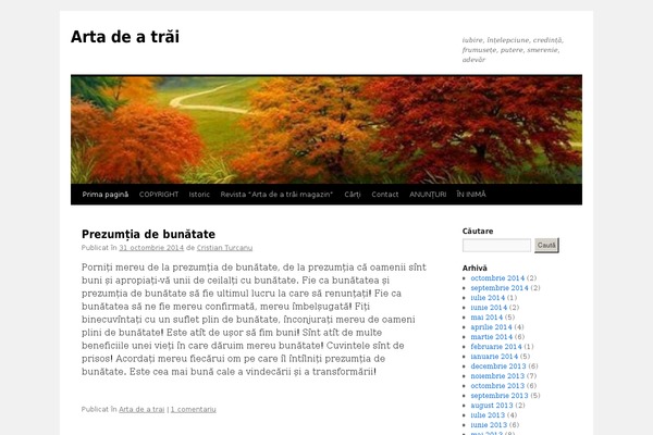 Site using Correct Romanian Diacritics plugin