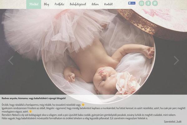 artbabyphoto.com site used Builder Custom