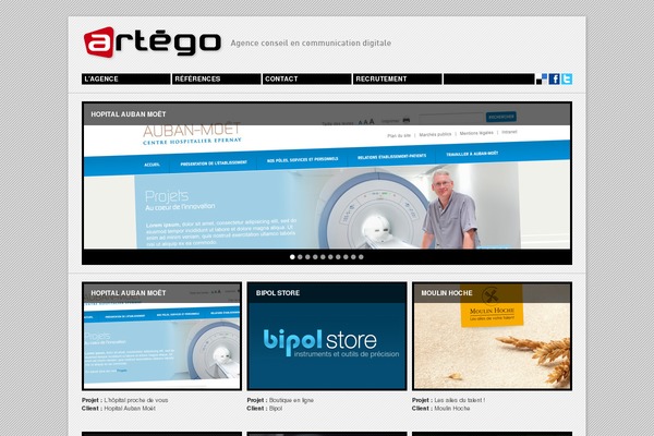artego theme websites examples