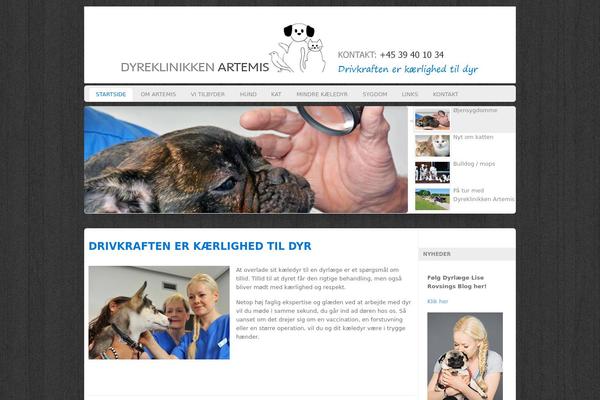 Custom Community Pro theme site design template sample