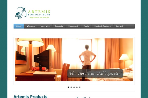 Function theme site design template sample