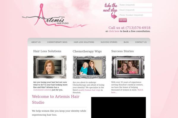 Site using Better WP ShowHide Elements plugin