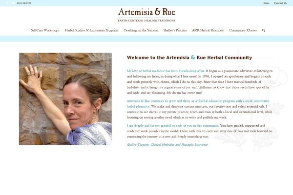 Astra Child theme site design template sample