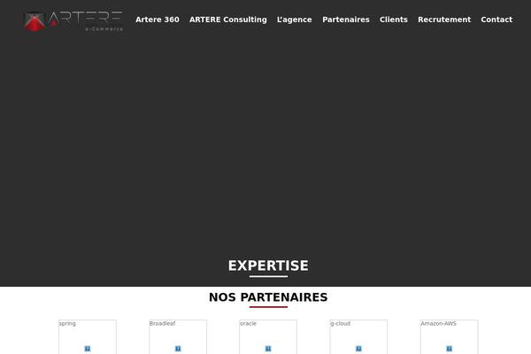 artere-ecommerce.com site used Martfury