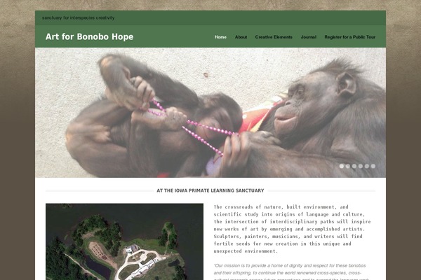 artforbonobohope.org site used Gather