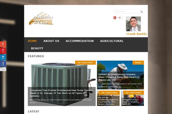 Bookshelf theme site design template sample