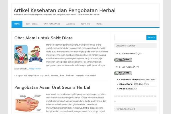 Iconic One theme site design template sample