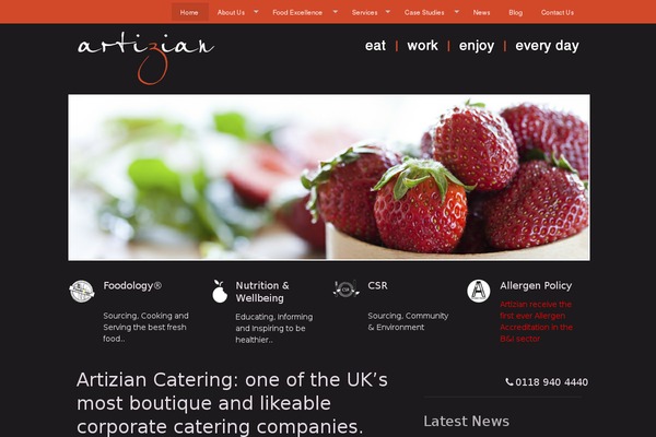 Avada Child theme site design template sample