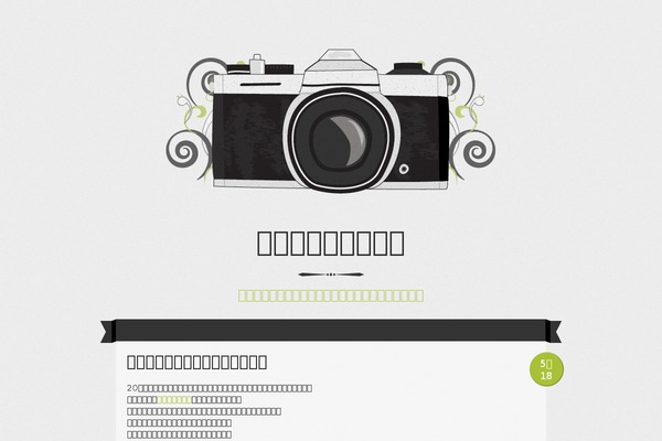 artsensus.com site used Vintage Camera