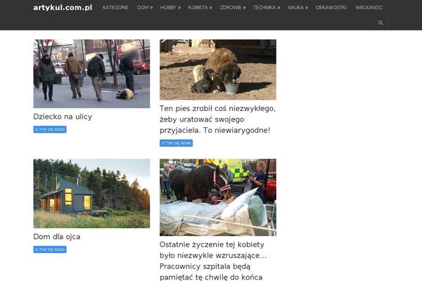 NewsPaper theme site design template sample