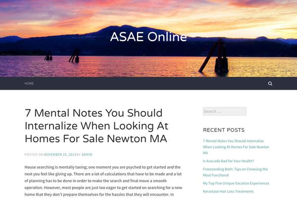 Accent theme site design template sample