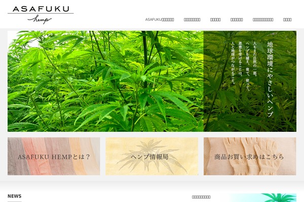 Site using Instashow-lite plugin