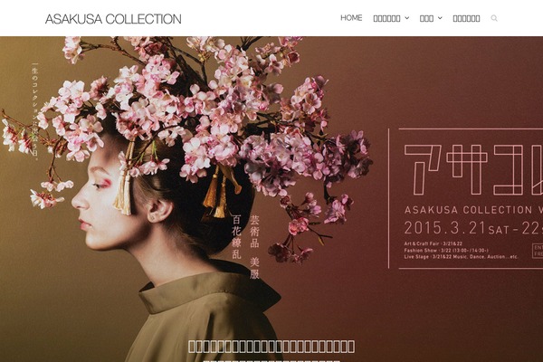 Site using Advanced Responsive Video Embedder plugin