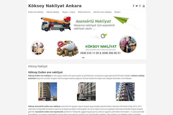 NEBlue theme site design template sample