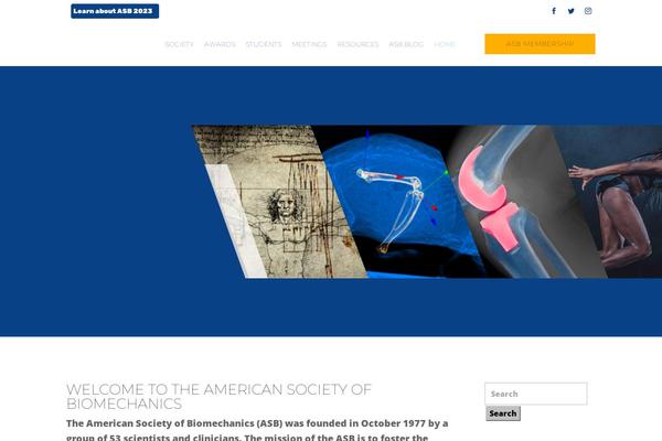 Site using Divi-booster plugin