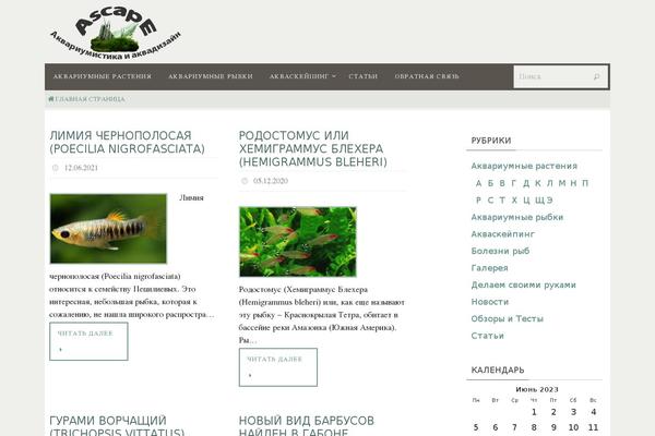 ascape.ru site used Nirvana-child-theme