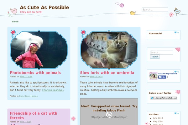 Cute Frames theme site design template sample