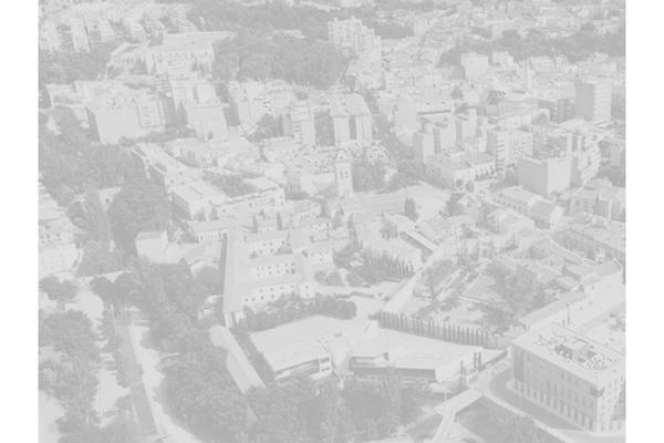 The7 theme site design template sample