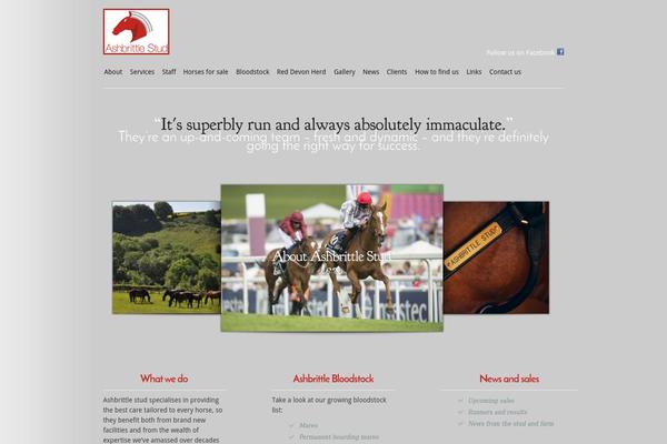 Modest theme site design template sample