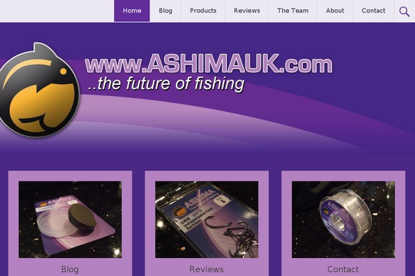 Site using WP Splash Image plugin