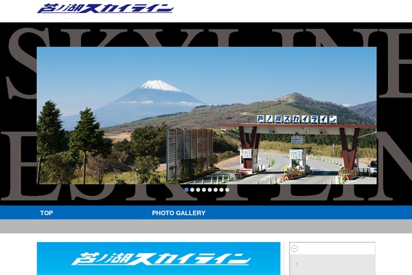 Skyline theme site design template sample