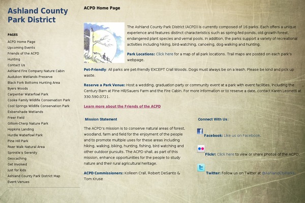 Ari theme site design template sample