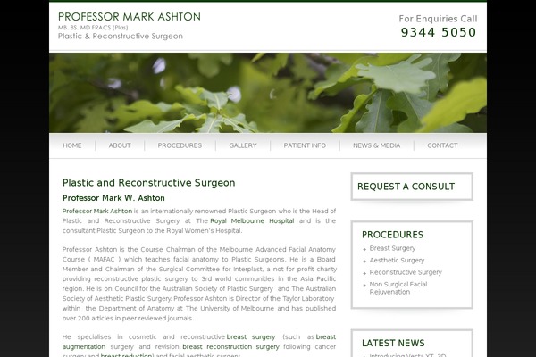 Ashton theme site design template sample