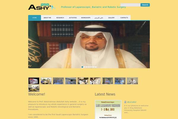 ashy255.com site used Theme1322