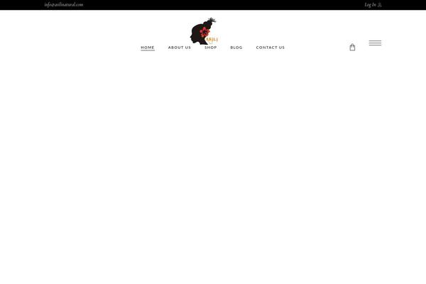Biagiotti theme site design template sample