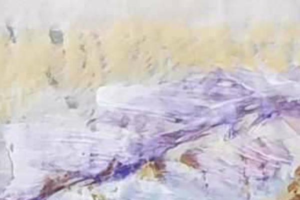 Site using Foo Gallery plugin