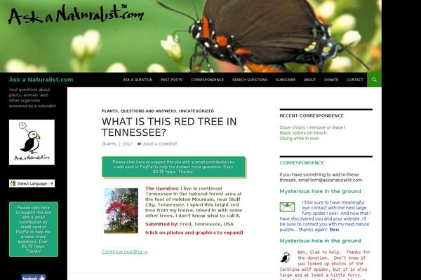 Extra theme site design template sample