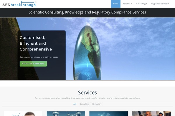 Busiprof-pro theme site design template sample