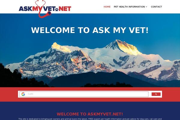 Divi Child theme site design template sample