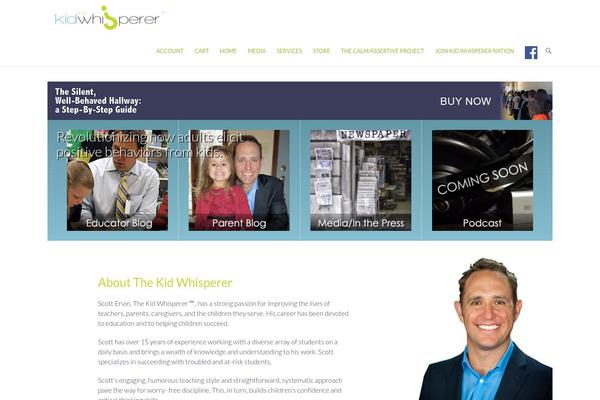 Ambition theme site design template sample